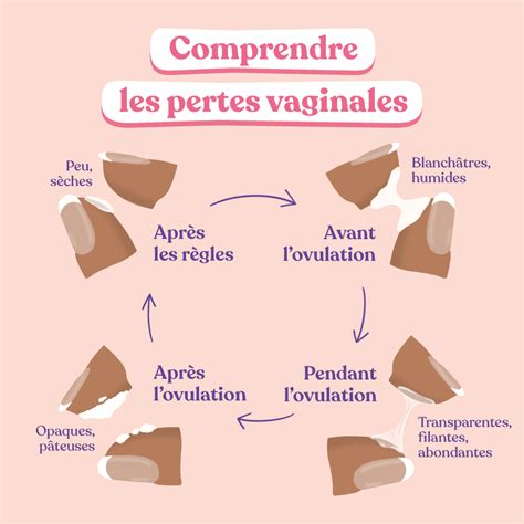 perte blanche cremeuse|Quels sont les différents types de pertes vaginales